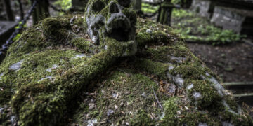 Cmentarze Wojenne nr 313 i 314 w Bochni: Historia, znaczenie i dziedzictwo